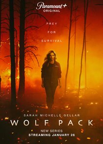     Wolf Pack